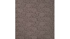 Lace Kinda - Taupe
