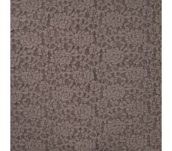Lace Kinda - Taupe