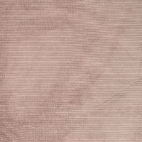 Washed Corduroy Bonded - Camel