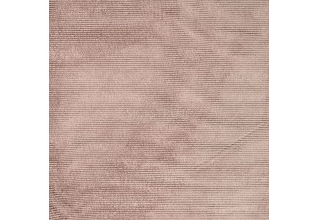 Washed Corduroy Bonded - Camel