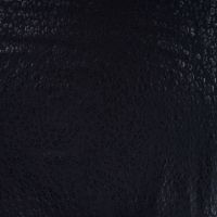 Punta Glossy Cheetah - Black Cheetah