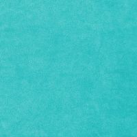 Nicky Velours Uni - Turquoise