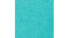 Nicky Velours Uni - Turquoise