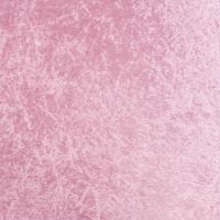 Velour De Pannes Uni - Light Rose