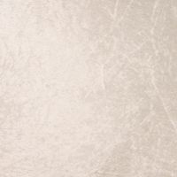 Velour De Pannes Uni - Beige