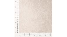 Velour De Pannes Uni - Beige