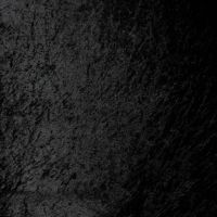 Velour De Pannes Uni - Black