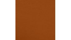 French terry - caramel