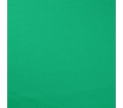 French Terry Brushed - Grass