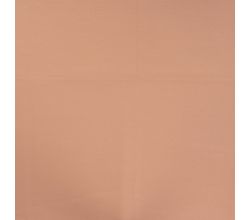 French Terry Brushed - Dusty Salmon