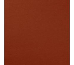 French Terry Brushed - Terra