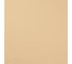 French Terry Brushed - Champagne