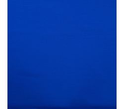 French Terry Brushed - Bright Royal