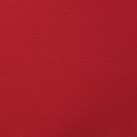 Heavy Nylon Punta - 015