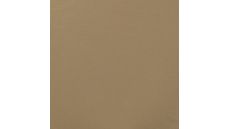 Heavy Nylon Punta - Camel