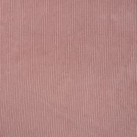 Jersey Cord Florida - Nude