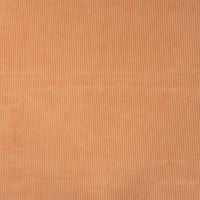 Jersey Cord Florida - 320