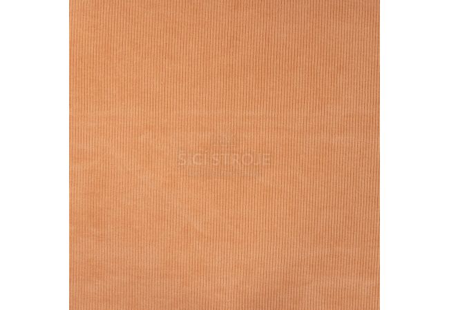 Jersey Cord Florida - 320