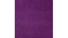 Jersey Cord Florida - Purple