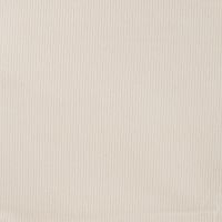 Jersey Cord Florida - Ecru