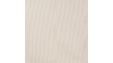 Jersey Cord Florida - Ecru