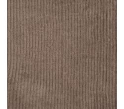 Jersey Cord Florida - Taupe