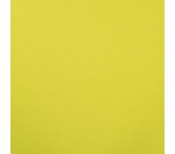French Terry Livio Brushed - Lime