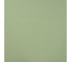Linnen Rayon Jimmy - Mint