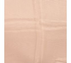 Organza - Salmon