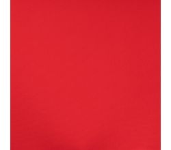 2/1 Rib - Red