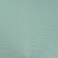 2/1 Rib - Dusty Mint