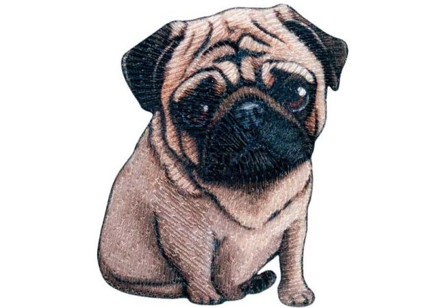 Nažehlovačka Psík Mops 5,1 x 4 cm Monoquick