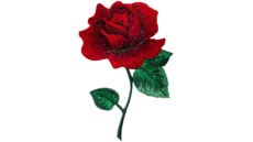 Nažehlovačka ruže Monoquick