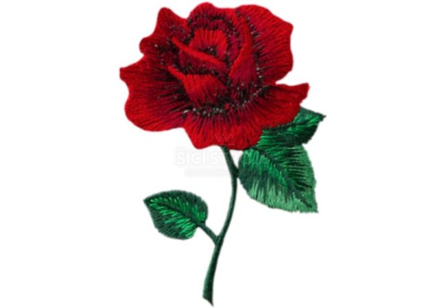 Nažehlovačka ruže Monoquick