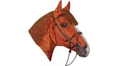 Nažehlovačka kôň Monoquick