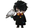 Nažehlovačka Harry Potter a Hedviga Monoquick