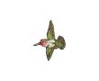 Nášivka kolibrík, nažehľovacia, zelená/viacfarebná