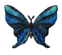 Nášivka motýľ, samolepiaca/nažehľovacia, modrá/čierna