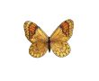 Nášivka motýľ, nažehľovacia, žltá