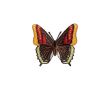 Nášivka motýľ s flitrami, nažehľovacia, čierna/viacfarebná