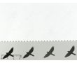 Strihací vlizelín BO 508 10 biely 80 g/m2, šírka 90 cm
