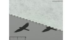 Strihací vlizelín + prižehľovacia vrstva Ronopast biely 40+18 g/m2, šírka 80 cm