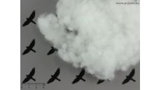 Výplň vankúšov, diek aj hračiek Superball (kg)