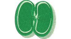 Výšivka písmeno H - variant 2