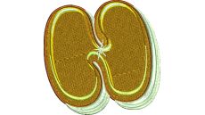 Výšivka písmeno N - variant 2