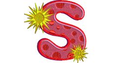 Výšivka písmeno S - variant 1