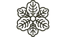 Výšivka ornament 119