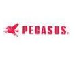 PEGASUS