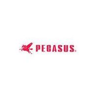 PEGASUS