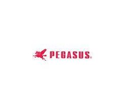 PEGASUS